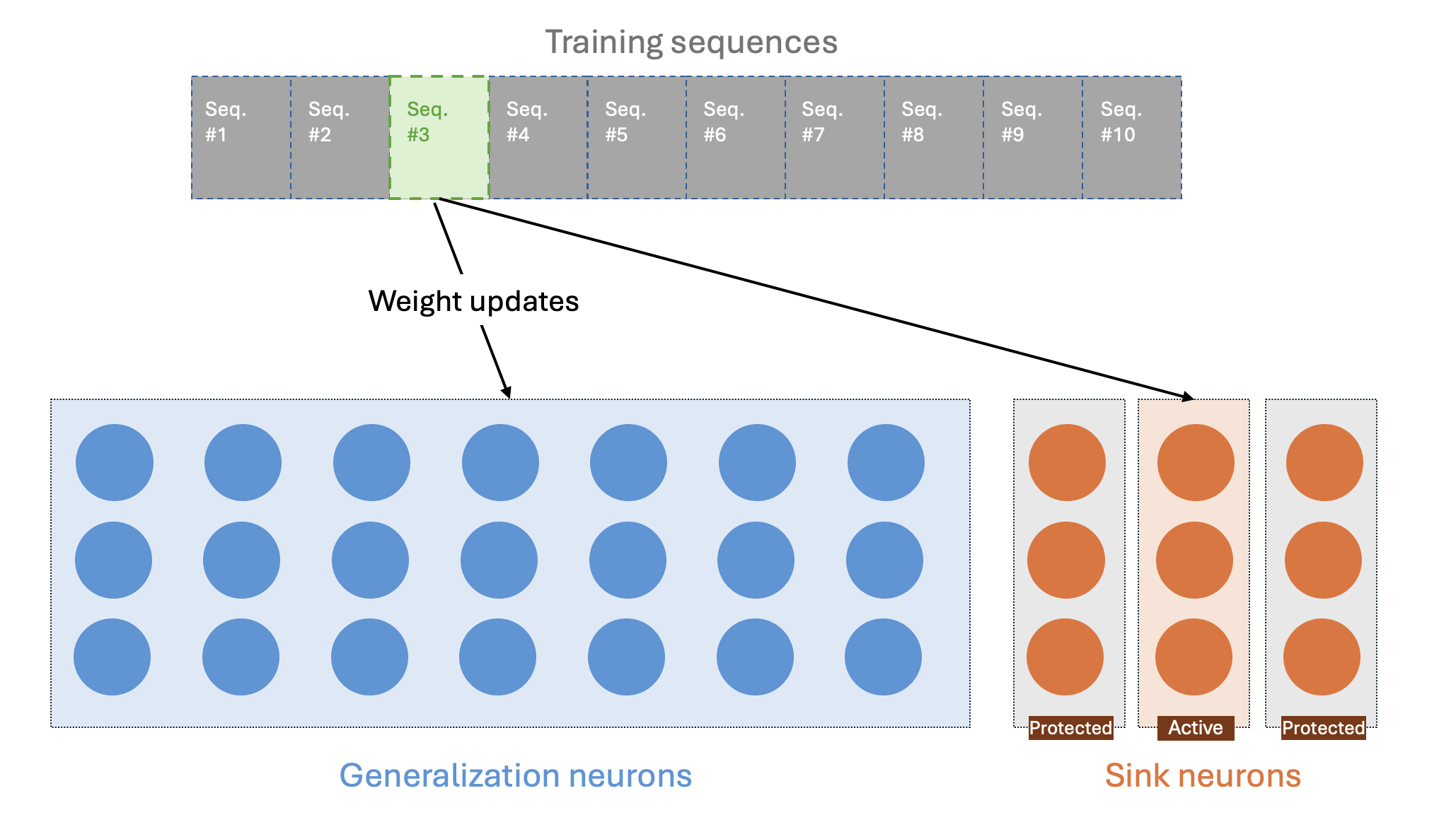 A training sequence updates the generalization neurons and its assigned sink neurons; other sink neurons are masked.
