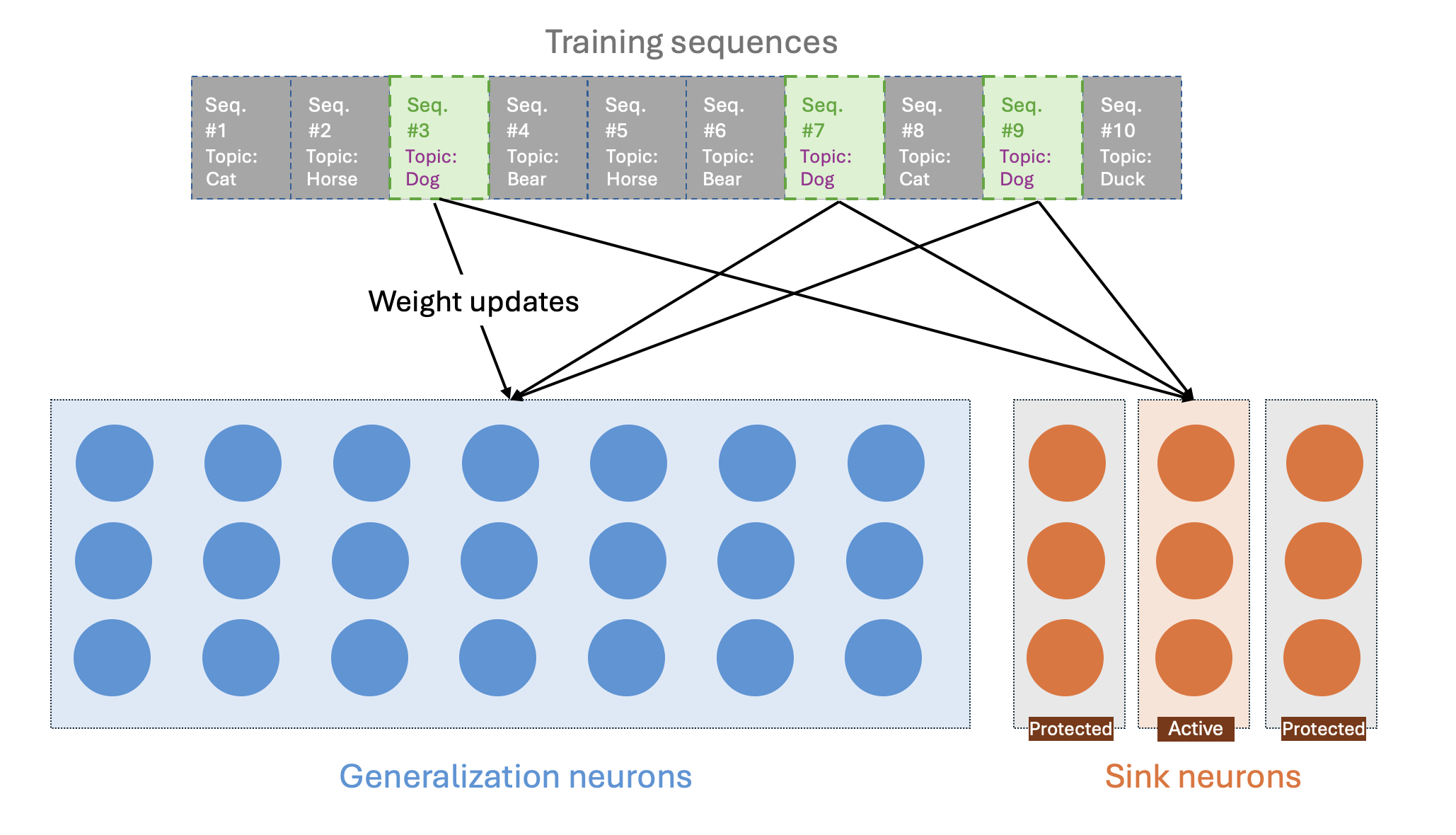 Several different training stories labeled with the topic dog update the same active sink neurons as well as the generalization neurons.